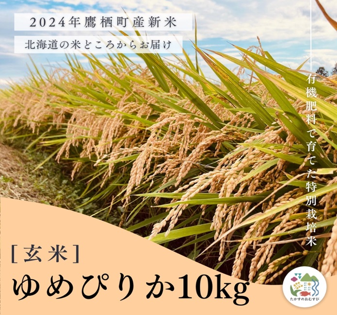 A259【令和６年産】ゆめぴりか（玄米）特Aランク 10kg 北海道 鷹栖町 たかすのおむすび 米 コメ ご飯 玄米 お米 ゆめぴりか