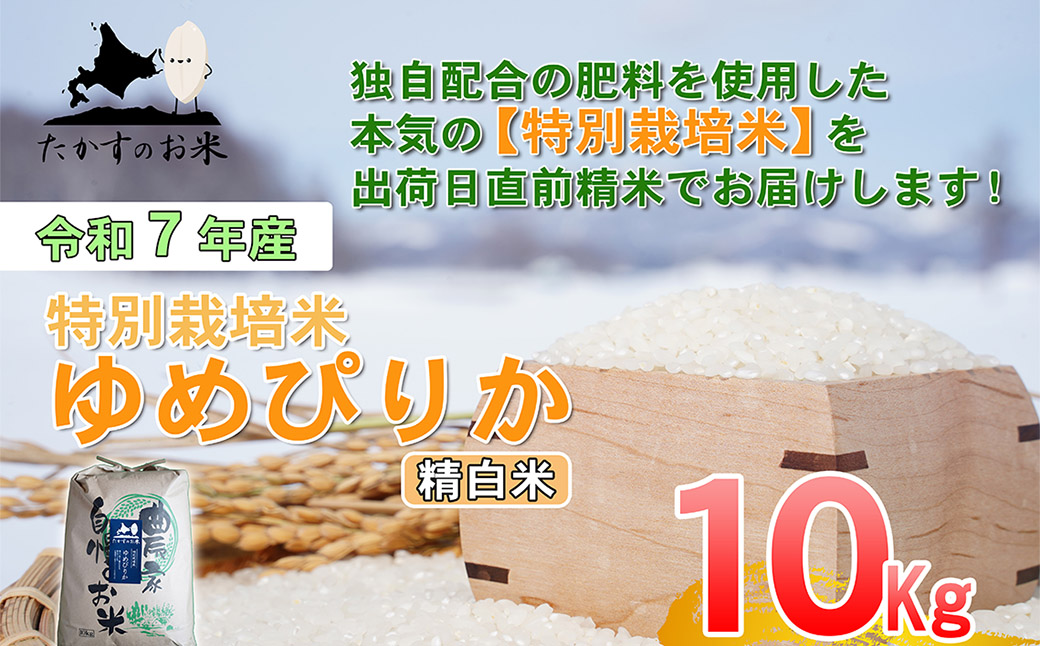 【令和7年産】 ゆめぴりか (精白米) 北海道 米 を代表する人気の品種 10kg 北海道 鷹栖町 たかすのお米 米 コメ こめ ご飯