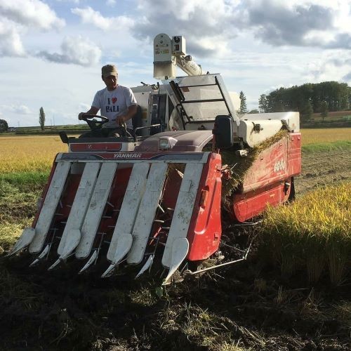 A172 ã 什å7å¹Žç£ ã ãããŽãã ãªãªã€ãŒã ïŒ ç¡æŽç±³ ïŒ ç空ãã㯠2kgÃå2è¢ ã»ãã åæµ·é é·¹æ çº ãããã¿ããã¡ãŒã ç±³ ã³ã¡ ãã ã飯 ãç±³