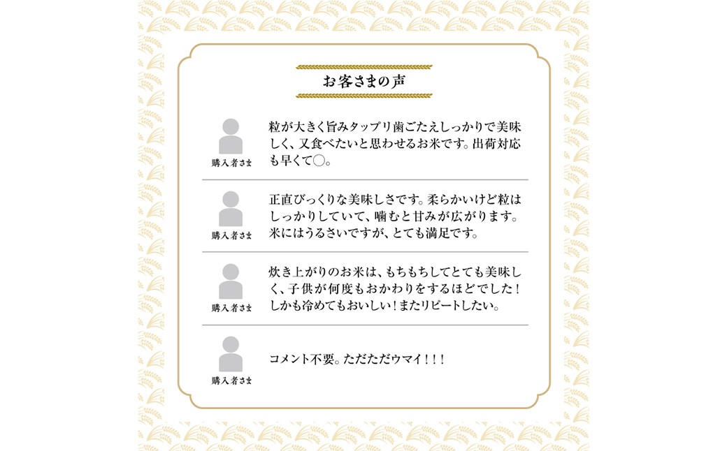 【令和7年産】 ななつぼし （白米） 5kg×1袋 ／ 米 コメ こめ ご飯 お米 ライス 北海道 鷹栖町 送料無料