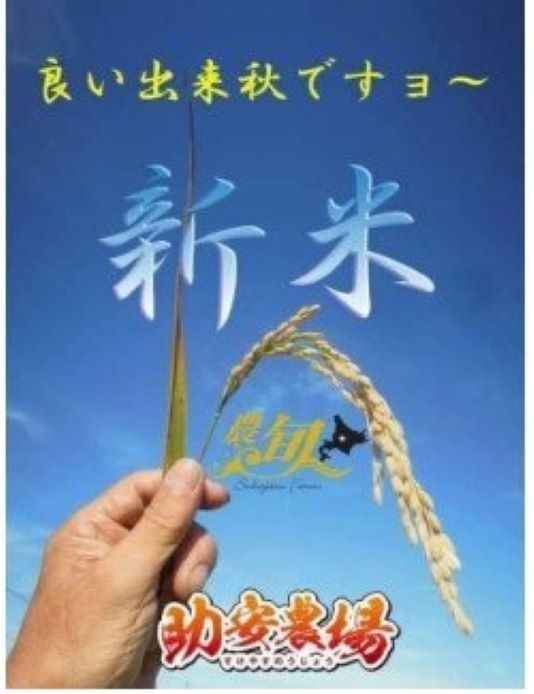 A160 《先行予約》【玄米】令和６年産　助安農場のゆめぴりかとななつぼしのセット（各５kg）