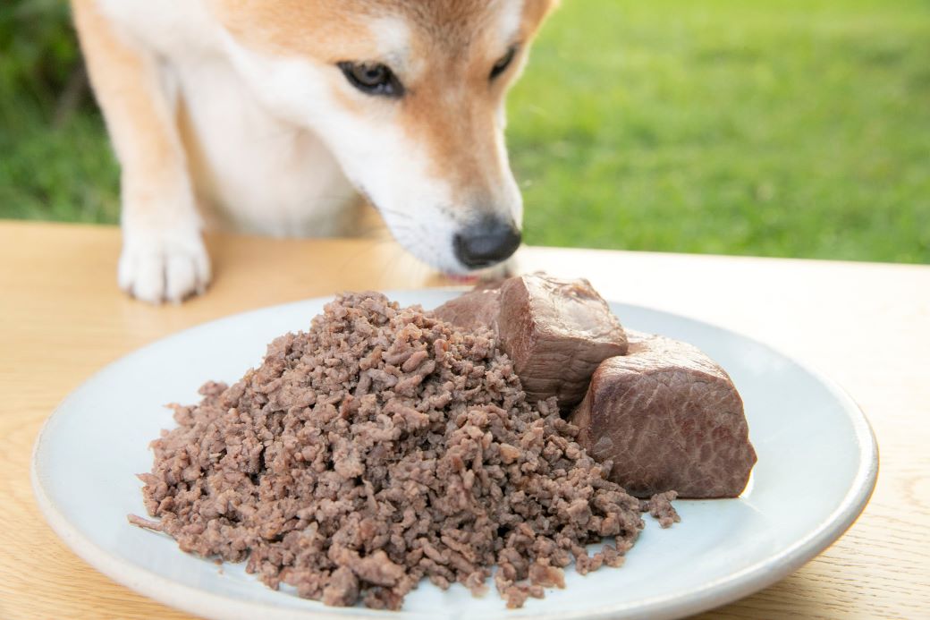 A104 犬用 エゾシカ肉 ドッグフード わんdeereフルセット 手作りごはん 北海道 鷹栖町 山恵 ドックフード ドッグフード