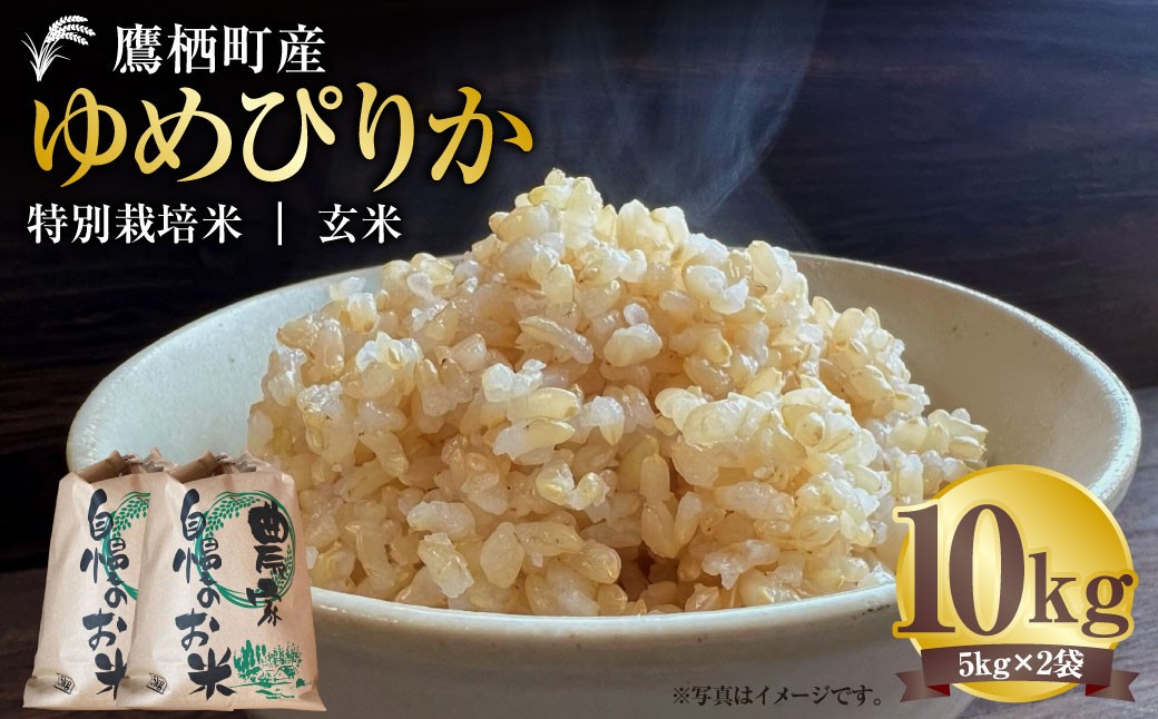 【令和7年産】 ゆめぴりか （玄米） 5kg×2袋 北海道 鷹栖町 たかすタロファーム 米 コメ こめ ご飯 玄米 お米 ゆめぴりか コメ 玄米