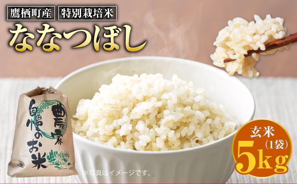 【令和7年産】ななつぼし（玄米） 5kg 北海道 鷹栖町 たかすのおむすび 米 コメ ご飯 玄米 お米 ななつぼし 【2025年9月下旬より発送予定】