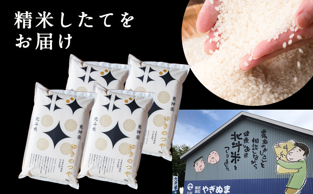 蛹玲沫邀ウ繧縺阪ョ縺、繧20kgシ5kgテ4陲具シ画浹豐シ 繧縺弱〓縺セ 譚ア逾樊・ス 蛹玲オキ驕