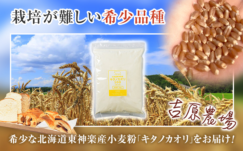 【隔月6カ月（奇数月お届け）】東神楽産キタノカオリ100（1kg×２袋）