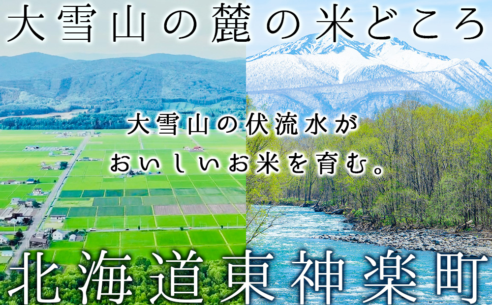 【お米の定期便】ななつぼし 2kg×2袋 《普通精米》全3回