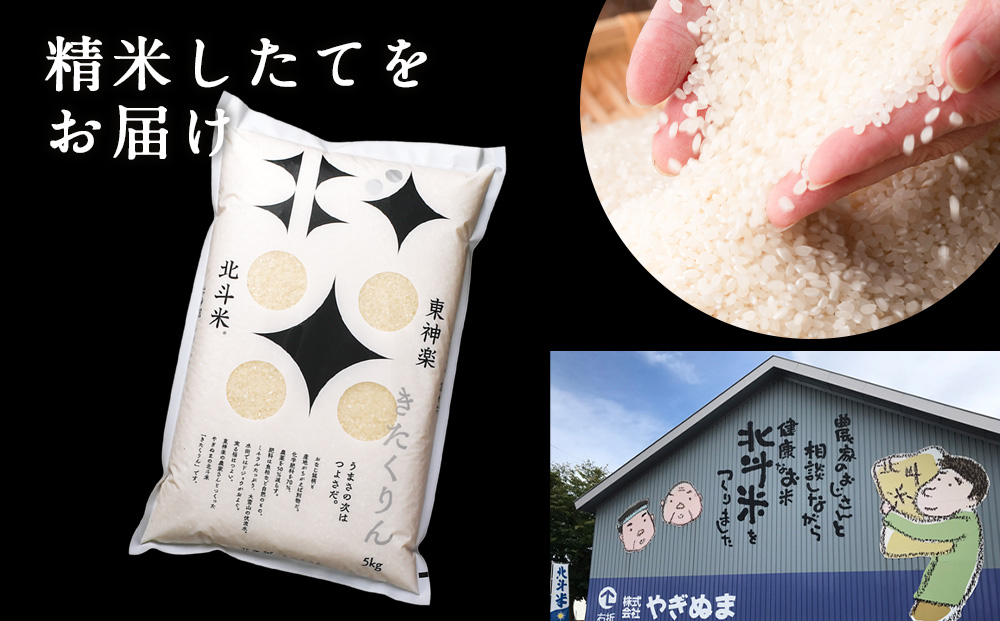 【定期便 3カ月】北斗米きたくりん5kg お米 こめ 精米 白米 ごはん ブランド米 国産米 北海道産 東神楽町