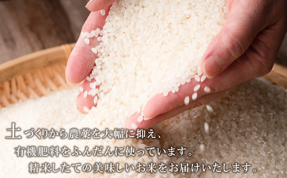 蛹玲沫邀ウ繧縺阪ョ縺、繧10kgシ5kgテ2陲具シ画浹豐シ 繧縺弱〓縺セ 譚ア逾樊・ス 蛹玲オキ驕