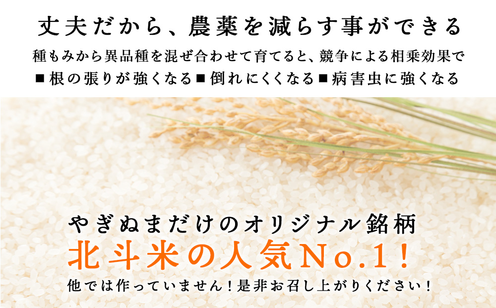 蛹玲沫邀ウ繧縺阪ョ縺、繧30kgシ5kgテ6陲具シ画浹豐シ 繧縺弱〓縺セ 譚ア逾樊・ス 蛹玲オキ驕