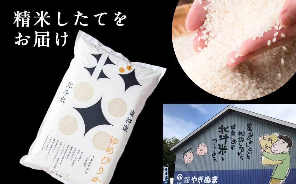 【定期便 6カ月】【新米・令和7年産】北斗米ゆめぴりか5kg お米 こめ 精米 白米 ごはん ブランド米 国産米 北海道産 東神楽町