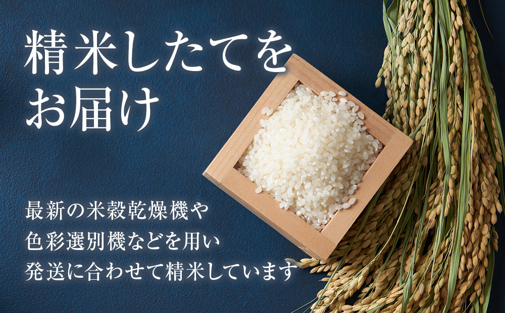 ã什å7幎ç£ã»æ°ç±³ãç¹å¥æ œå¹ç±³ãªãªã€ãŒã 5kg çœç±³