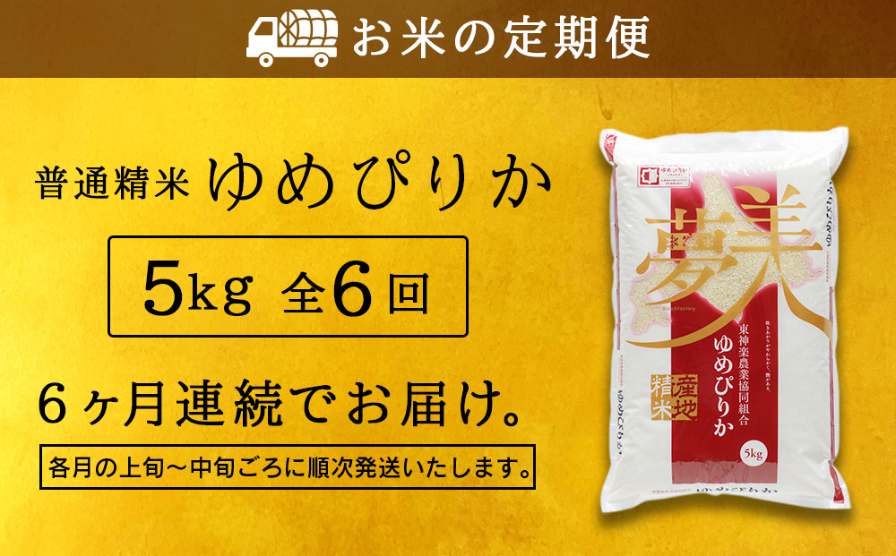 縲仙ョ壽悄萓ソ6繝カ譛医代f繧√エ繧翫° 譎ョ騾夂イセ邀ウ縲5kg