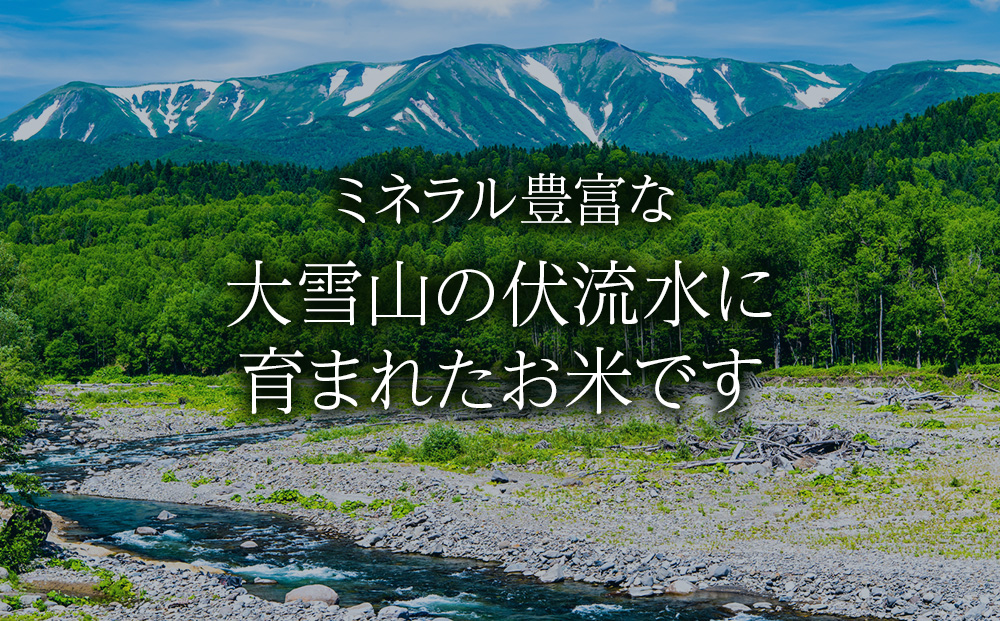 ã什å7幎ç£ã»æ°ç±³ãç¹å¥æ œå¹ç±³ãããŽãã 5kg çœç±³