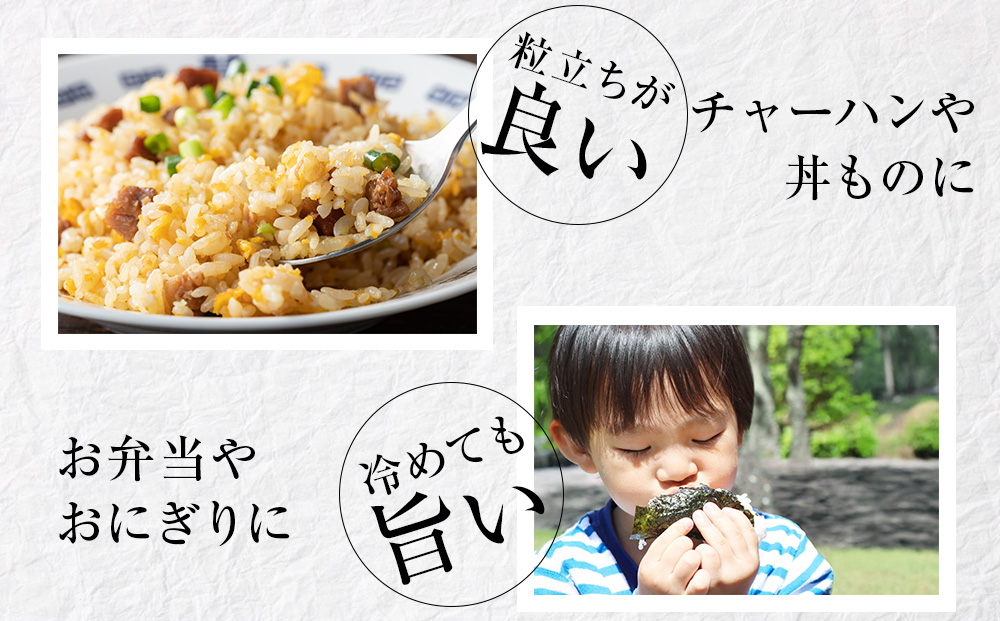 【定期便2ヵ月】北海道産 ななつぼし5kg お米 こめ 精米 白米 ごはん ブランド米 国産米 北海道産 東神楽町