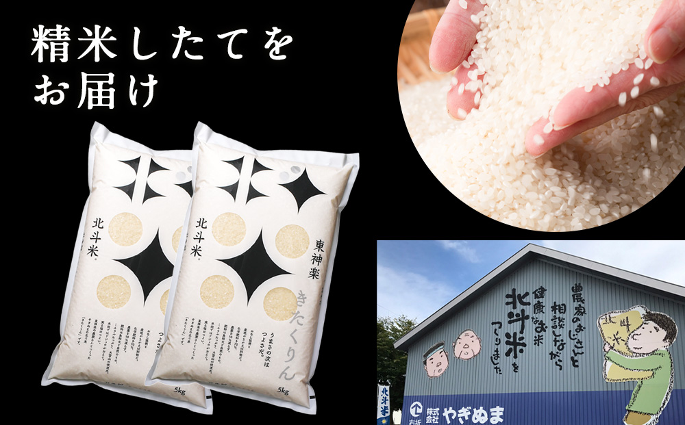 【定期便 3カ月】北斗米きたくりん10kg お米 こめ 精米 白米 ごはん ブランド米 国産米 北海道産 東神楽町