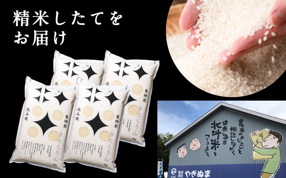 【定期便 3カ月】北斗米きたくりん20kg お米 こめ 精米 白米 ごはん ブランド米 国産米 北海道産 東神楽町