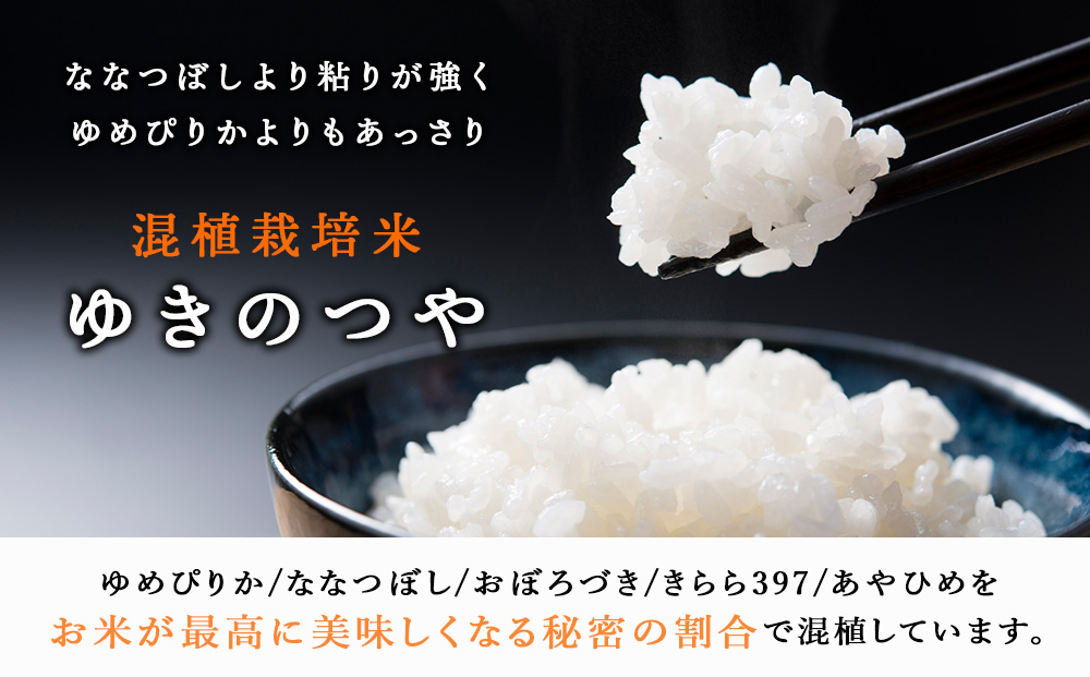 蛹玲沫邀ウ繧縺阪ョ縺、繧20kgシ5kgテ4陲具シ画浹豐シ 繧縺弱〓縺セ 譚ア逾樊・ス 蛹玲オキ驕