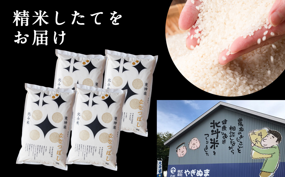 【定期便 12カ月】【令和7年産】北斗米ななつぼし20kg(5kg×4袋) お米 こめ 精米 白米 ごはん ブランド米 国産米 北海道産 東神楽町