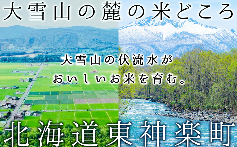 【令和7産・新米】【10営業日以内発送】ななつぼし 普通精米　5kg