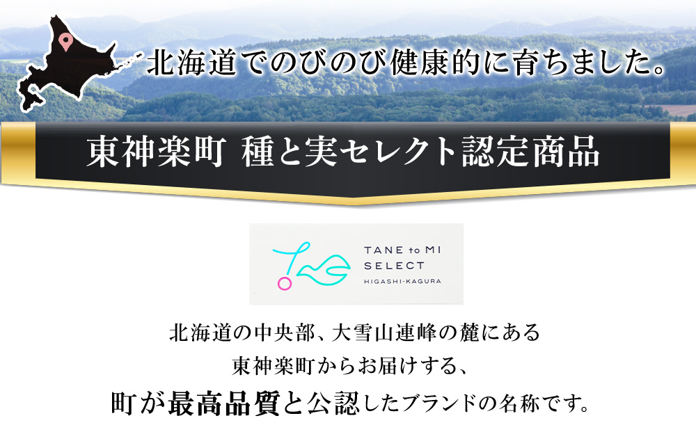 北海道産豚バラベーコンと3種のソーセージセット