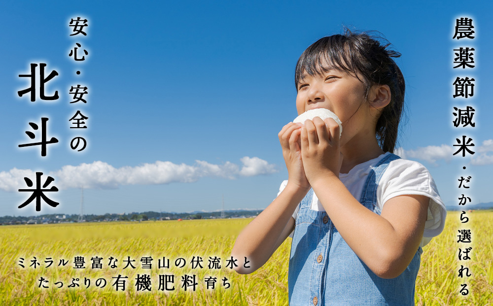 【定期便 3カ月】北斗米きたくりん10kg お米 こめ 精米 白米 ごはん ブランド米 国産米 北海道産 東神楽町