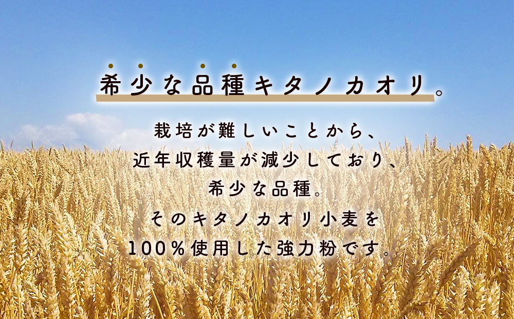 北海道 東神楽町産小麦粉で作る、クッキー手作りセットとひがしかぐらジャム2本〈ハスカップ、なつみずき苺〉