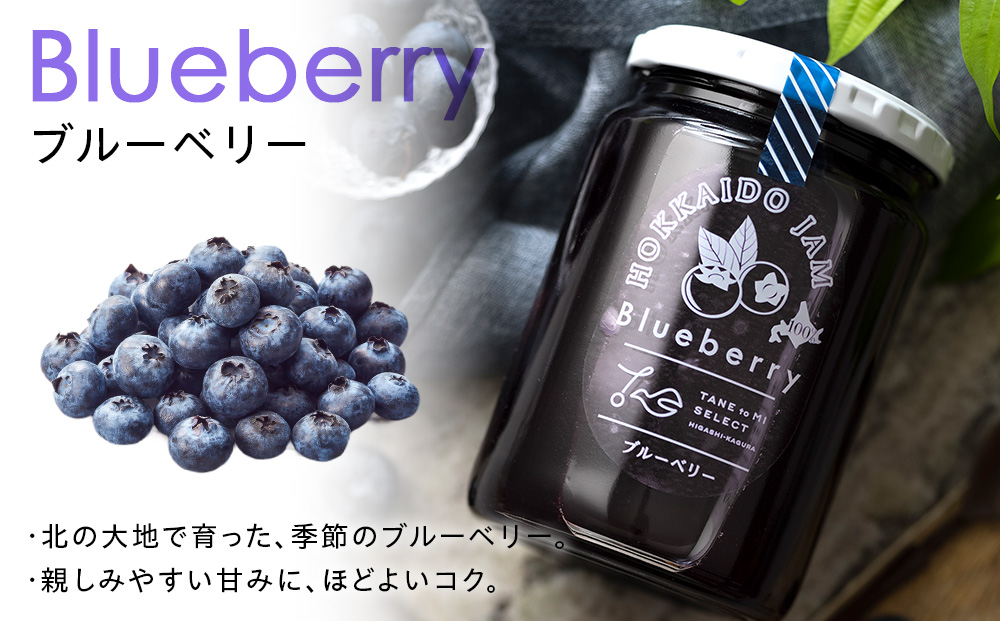 ひがしかぐらジャム 〈なつみずき苺・ブルーベリー〉各1・合計2個