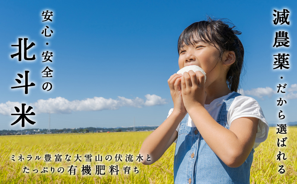 【定期便 6カ月】【新米・令和7年産】北斗米ゆめぴりか5kg お米 こめ 精米 白米 ごはん ブランド米 国産米 北海道産 東神楽町