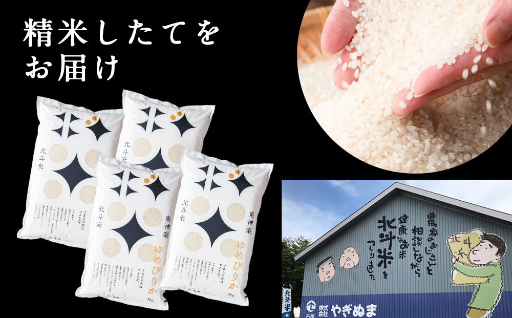 縲仙ョ壽悄萓ソ12繝オ譛医大圏譁礼アウ繧繧√エ繧翫°20kgシ5kgテ4陲具シ峨♀邀ウ 縺薙a 邊セ邀ウ 逋ス邀ウ 縺斐ッ繧 繝悶Λ繝ウ繝臥アウ 蝗ス逕」邀ウ 蛹玲オキ驕鍋肇 譚ア逾樊・ス逕コ