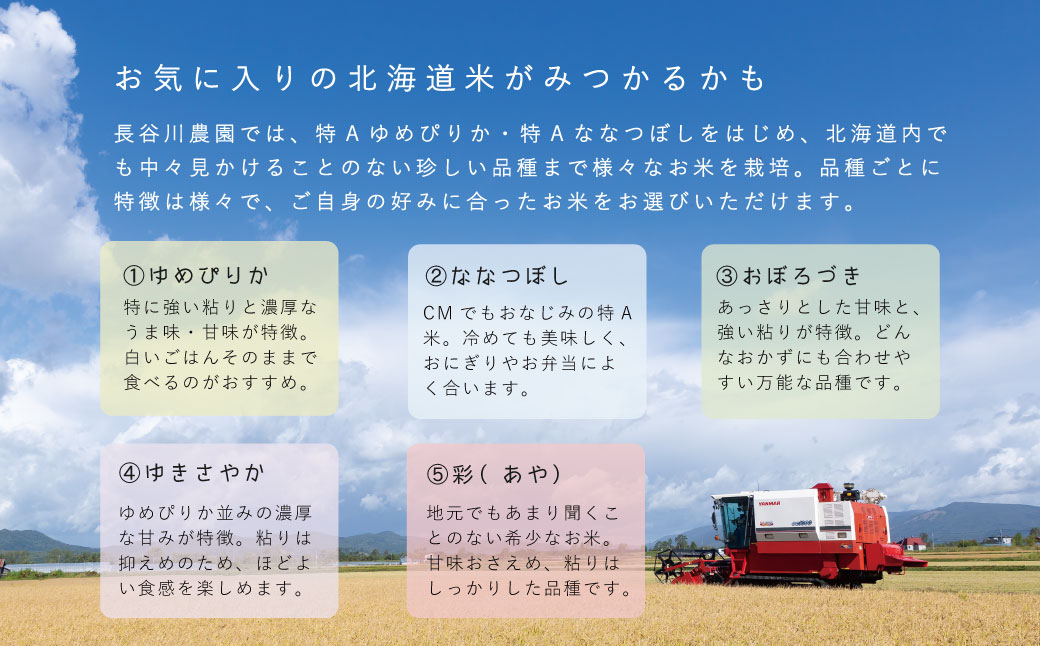 【新米】令和6年産 特A 彩 5kg 特A米 北海道産 北海道米 長谷川農園 5kg以上 当麻町【U-045】