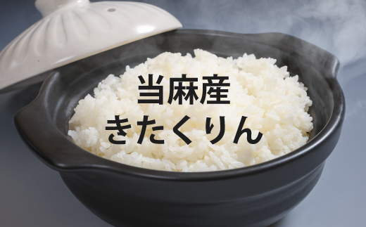 【令和7年産】YES!Clean 金王冠きたくりん 当麻産 無洗米 10kg 北海道米 北海道 米【AU-002】