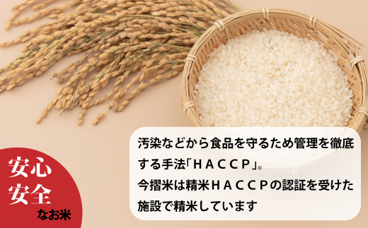 生活応援！価格大幅改定！令和7年産　籾貯蔵今摺米 無洗米きたくりん【A-041】