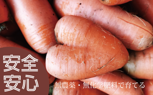 にんじんジュース 700ml×3本【AO-004】