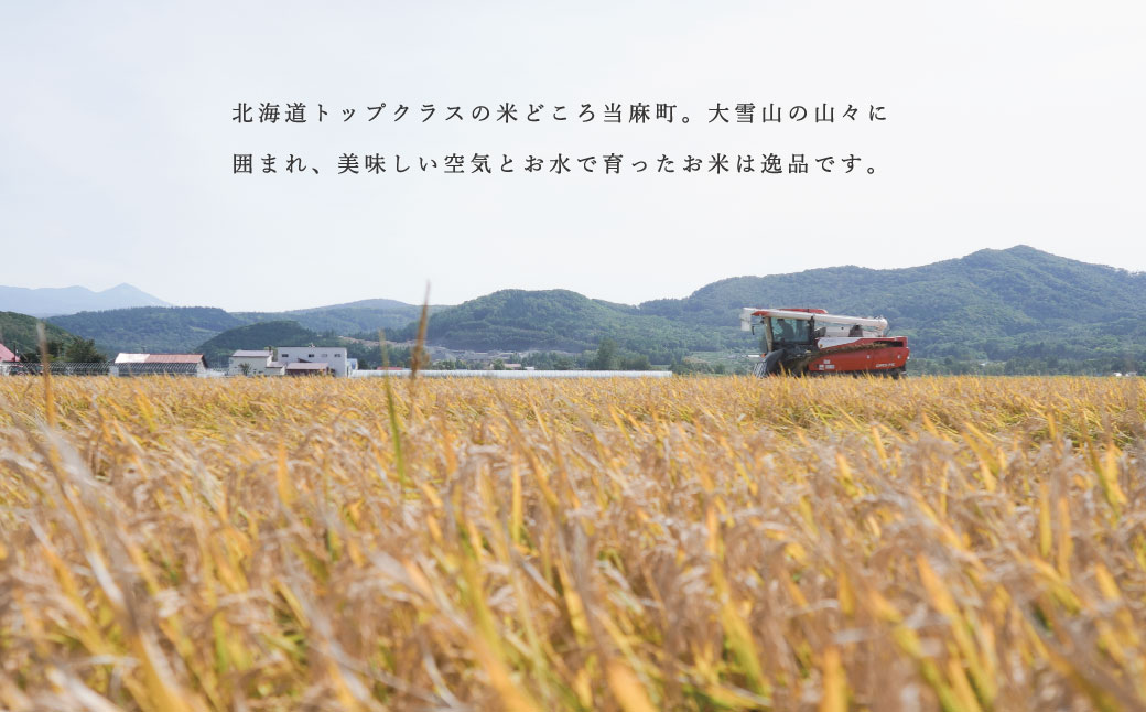 玄米 ゆきさやか 150g 北海道米 こめ 1000円台  2000円 3000円 当麻町 長谷川農園 北海道産 北海道米【B-012】