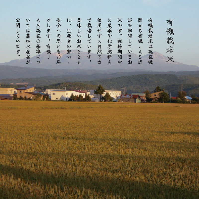 【定期便】有機栽培米ゆきひかり 5kg×6回 北海道当麻町 舟山農産 有機JAS認証 有機【AB-036】