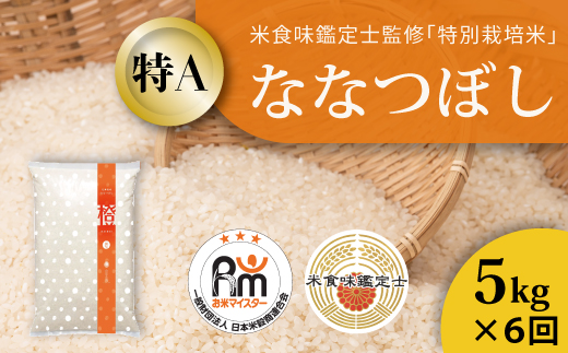 【令和7年産　定期便】特別栽培米ななつぼし 5kg×6回 北海道当麻町 舟山農産 減農薬 低農薬【AB-031】