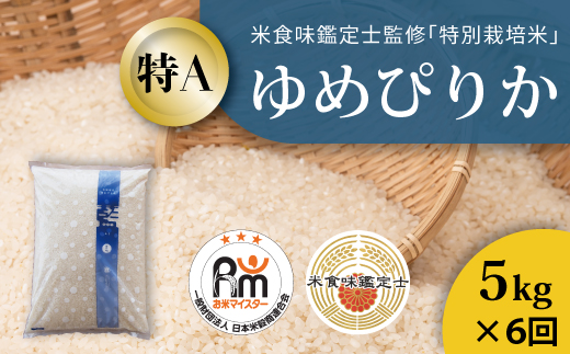 【令和7年産　定期便】特別栽培米ゆめぴりか 5kg×6回 北海道当麻町 舟山農産 減農薬 低農薬【AB-044】