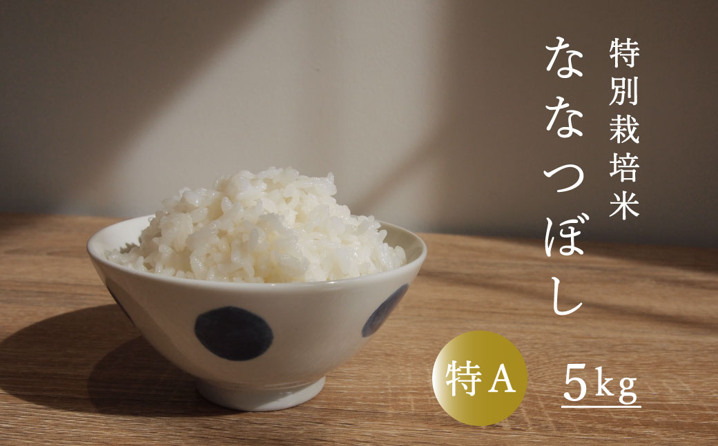 特別栽培米ななつぼし 5kg 舟山農産【AB-029】