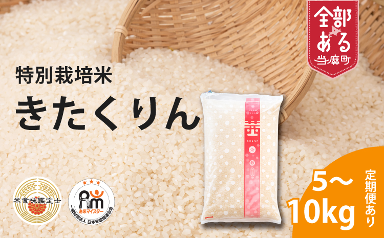 【令和8年産】【定期便】特別栽培米きたくりん 10kg×6回 北海道当麻町 舟山農産 減農薬 低農薬【AB-027】