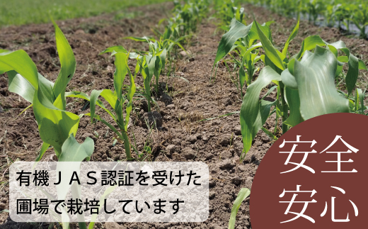 2026蟷エ逕」莠育エ 蛹玲オキ驕鍋肇繝帙Ρ繧、繝医さ繝シ繝ウ縲譛画ゥ滓ス蝓ケ縲植O-001縲