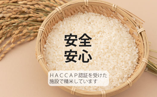 【令和7年産】生活応援！価格大幅改定！籾貯蔵今摺米 無洗米 きたくりん 5kg×3回 計15kg ≪定期便3ヶ月≫ブランド米 北海道米 北海道 米【A-040】
