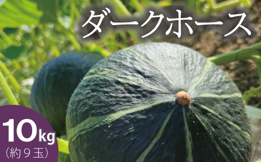 【2026年産先行受付】かぼちゃ10kg　ダークホース　阿部ファーム　北海道当麻町産【AE-001】