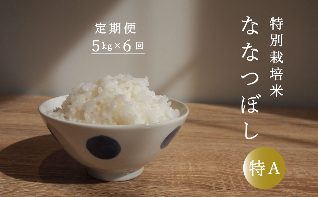 【定期便】特別栽培米ななつぼし 5kg×6回 舟山農産【AB-031】