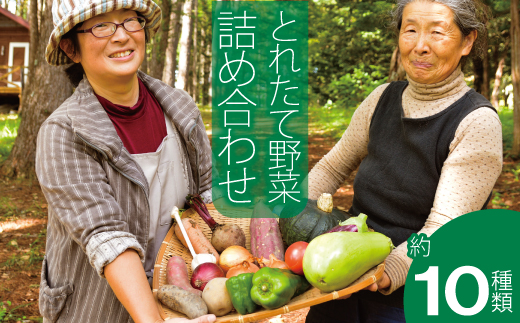 2026年産 相馬ファーム季節の野菜詰め合わせ[AH-001]