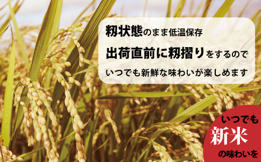【令和7年産】籾貯蔵今摺米 無洗米 きたくりん 11kg×5回 計55kg ≪定期便5ヶ月≫ブランド米 北海道米 北海道 米【A-008】