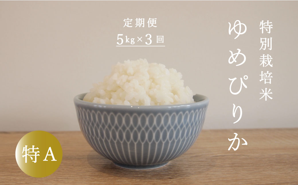 【令和6年産新米】【定期便】特別栽培米ゆめぴりか 5kg×3回 北海道当麻町 舟山農産 減農薬 低農薬【AB-014】