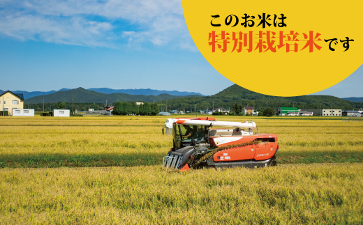 【令和８年産】特別栽培米 ゆめぴりか(特秀) 5kg 北海道当麻町 舟山農産 減農薬 低農薬【AB-013】