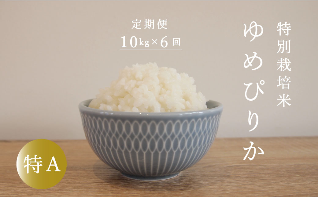 【令和6年産新米】【定期便】特別栽培米ゆめぴりか 10kg×6回 北海道当麻町 舟山農産 減農薬 低農薬【AB-019】