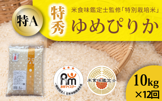【令和８年産　定期便】特別栽培米ゆめぴりか(特秀) 10kg×12回 北海道当麻町 舟山農産 減農薬 低農薬【AB-020】